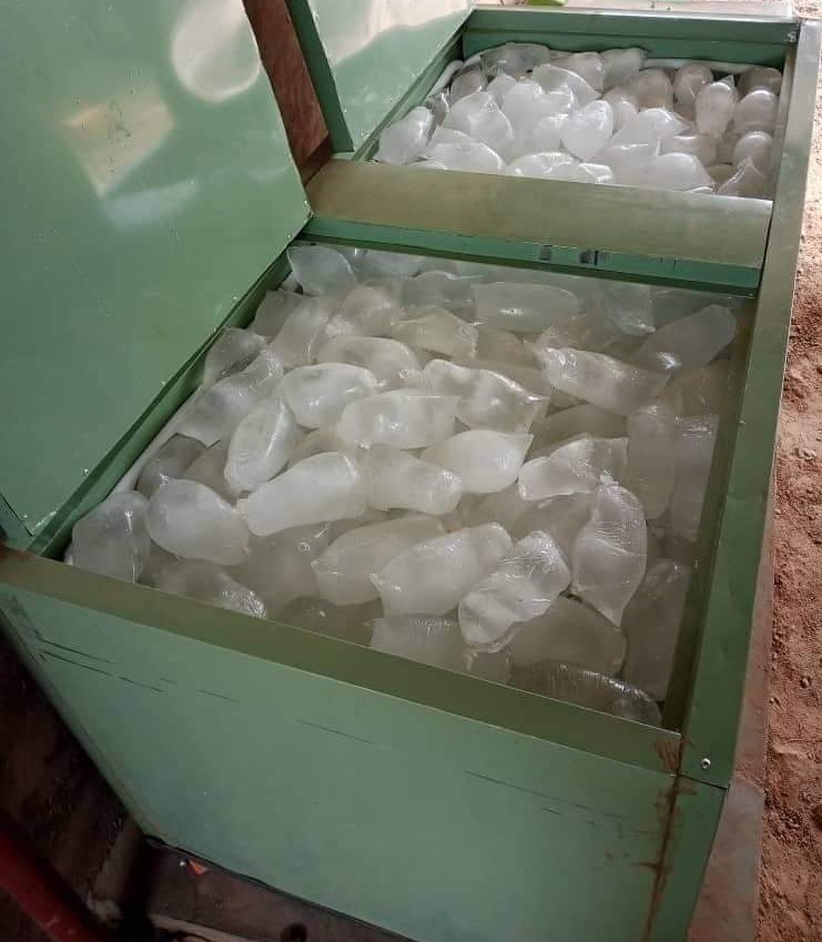 FB_IMG_1631783914533_1