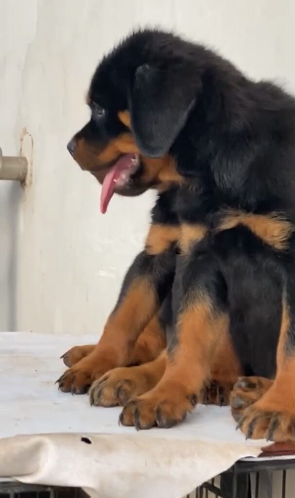 FFF5411D-CC73-485A-8BC2-665B10A17F2D