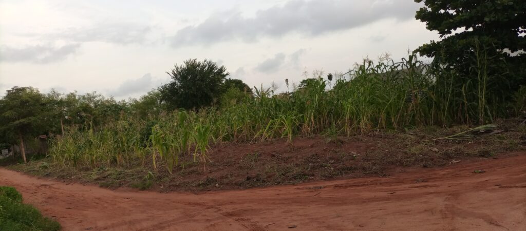 IMG_20211115_180948_826