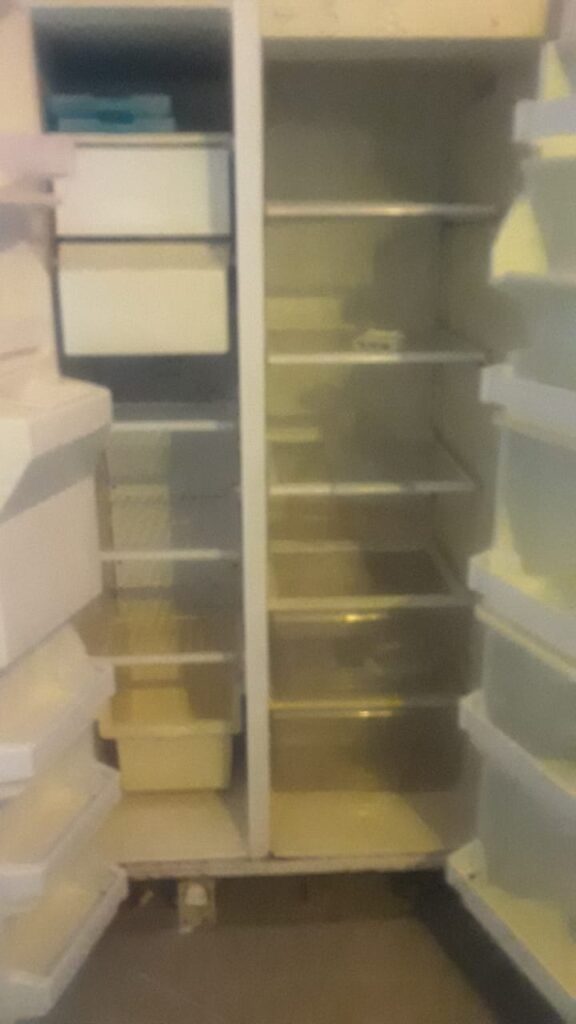 WhatsApp-Image-2021-11-16-at-17.45.14