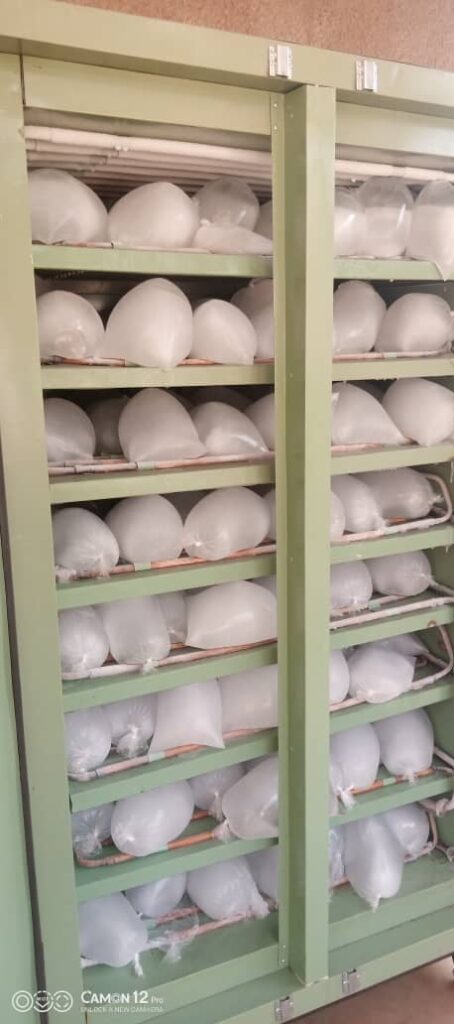 184c5aa6-9f51-4e77-89cd-267d8b06e544