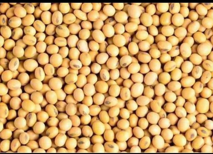 3d3b6e66-97a1-4a7e-a715-4400c8efdc66