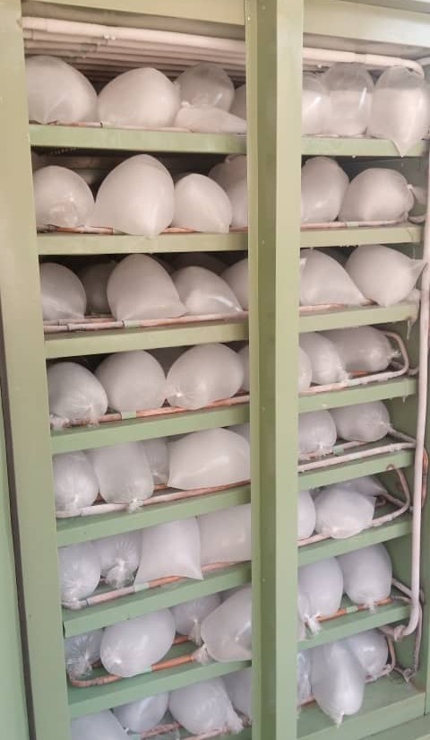 f953351a-4cc0-45e0-a682-d4d7c710af53