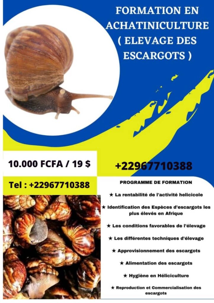 12f6d2c7-c438-4363-92d9-06492a73f76b