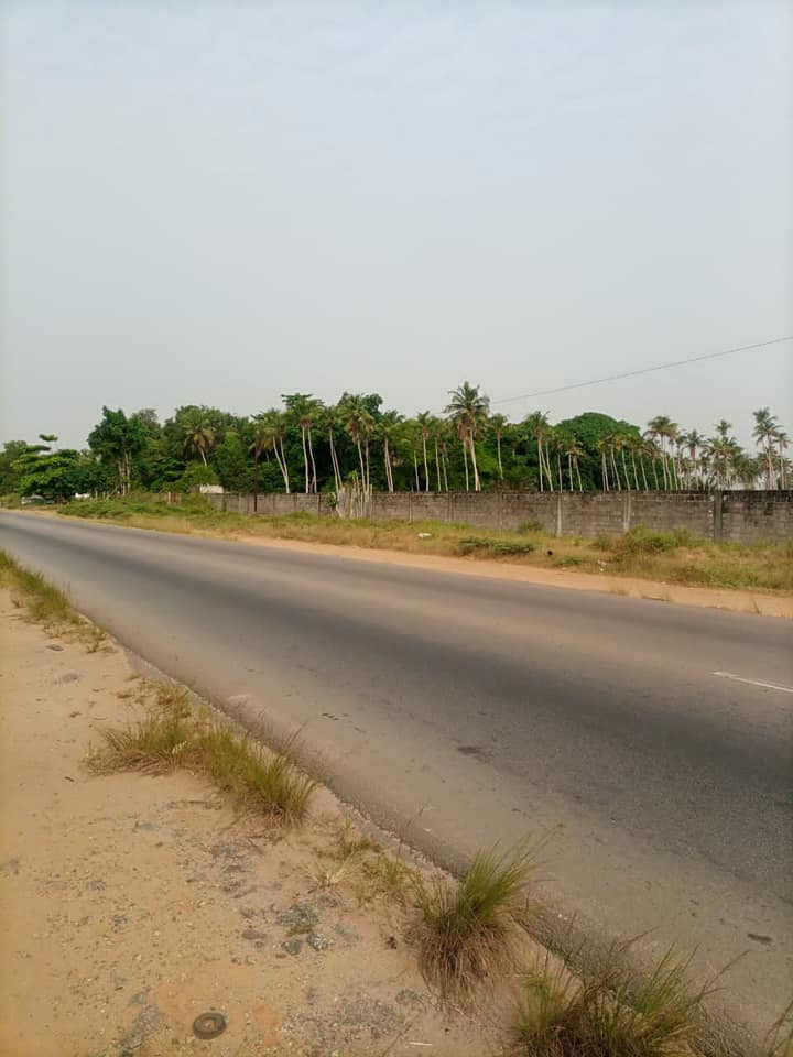 4ha-bassam-modeste-5