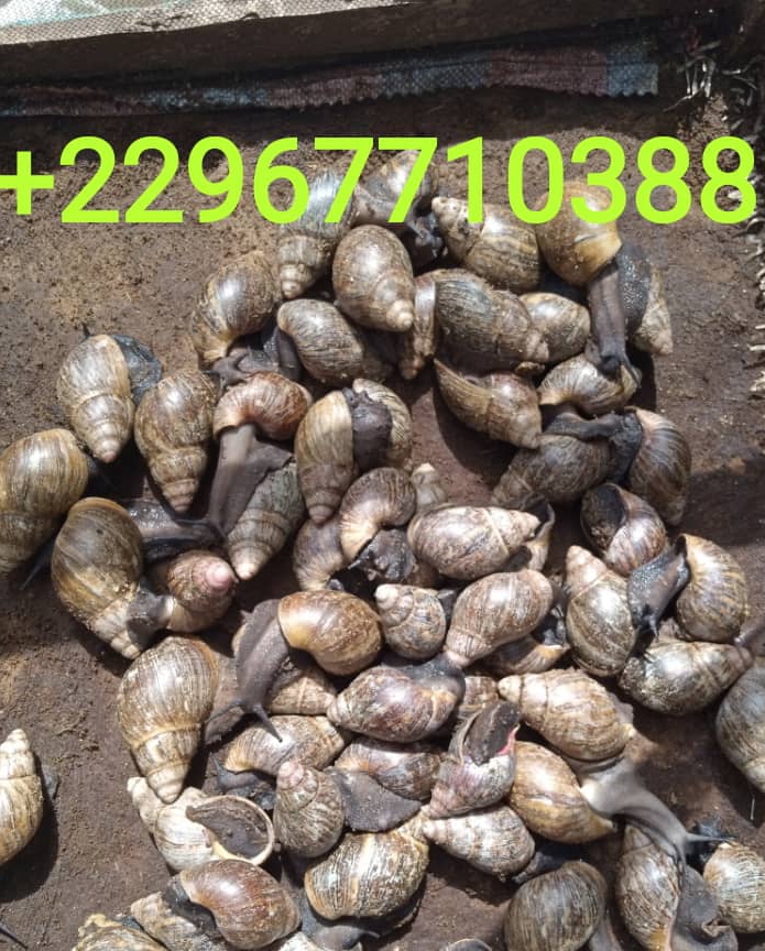 73cef7b3-b25a-4793-925b-33bdcfb9dd83