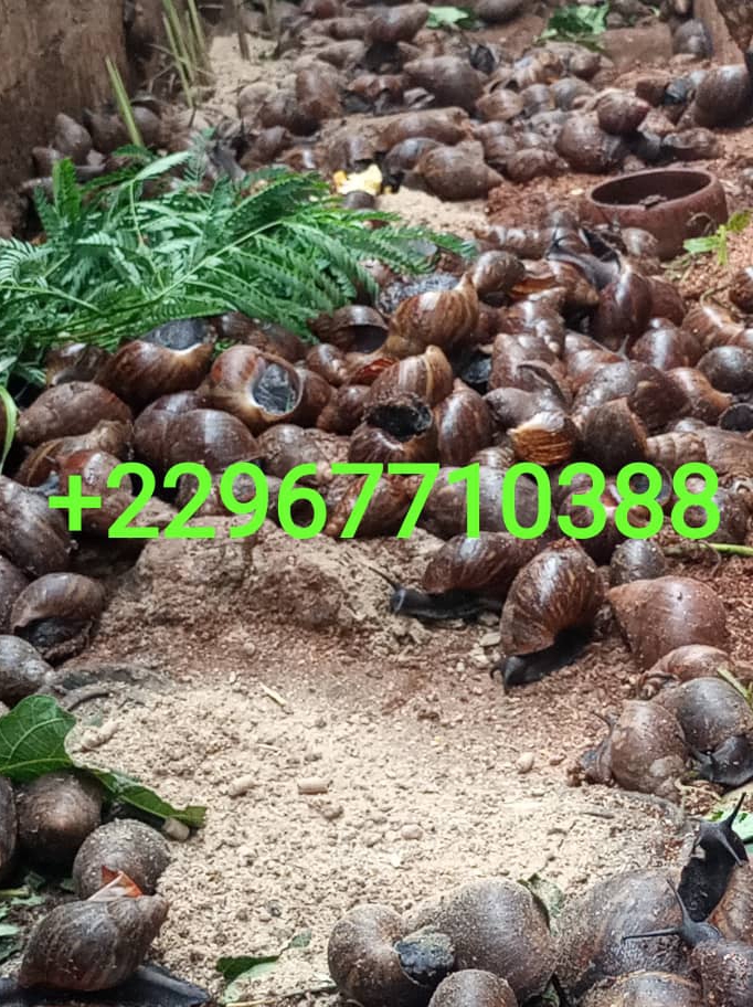 7bf4cd10-1df3-4760-8a28-4e492a972a45