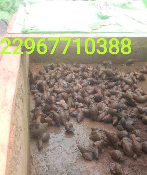 836e905f-dd1c-4621-a74e-88712a2a7a9c