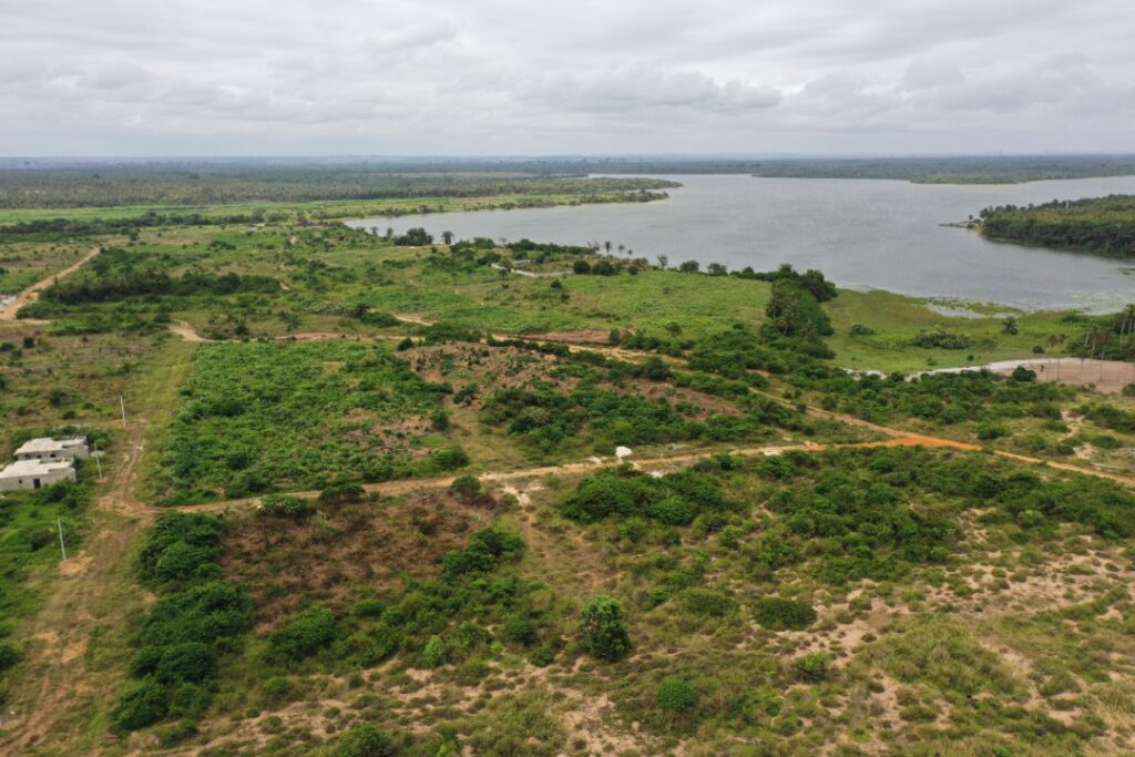 IMG-20220124-WA0058-1