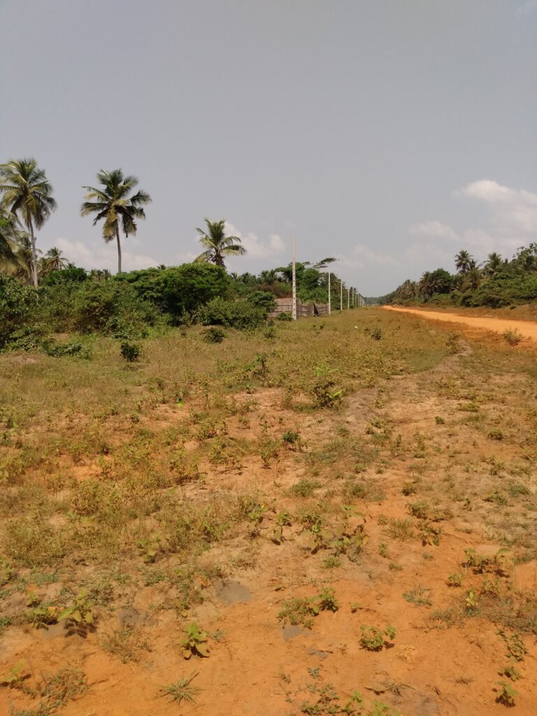 IMG_20220119_122916068