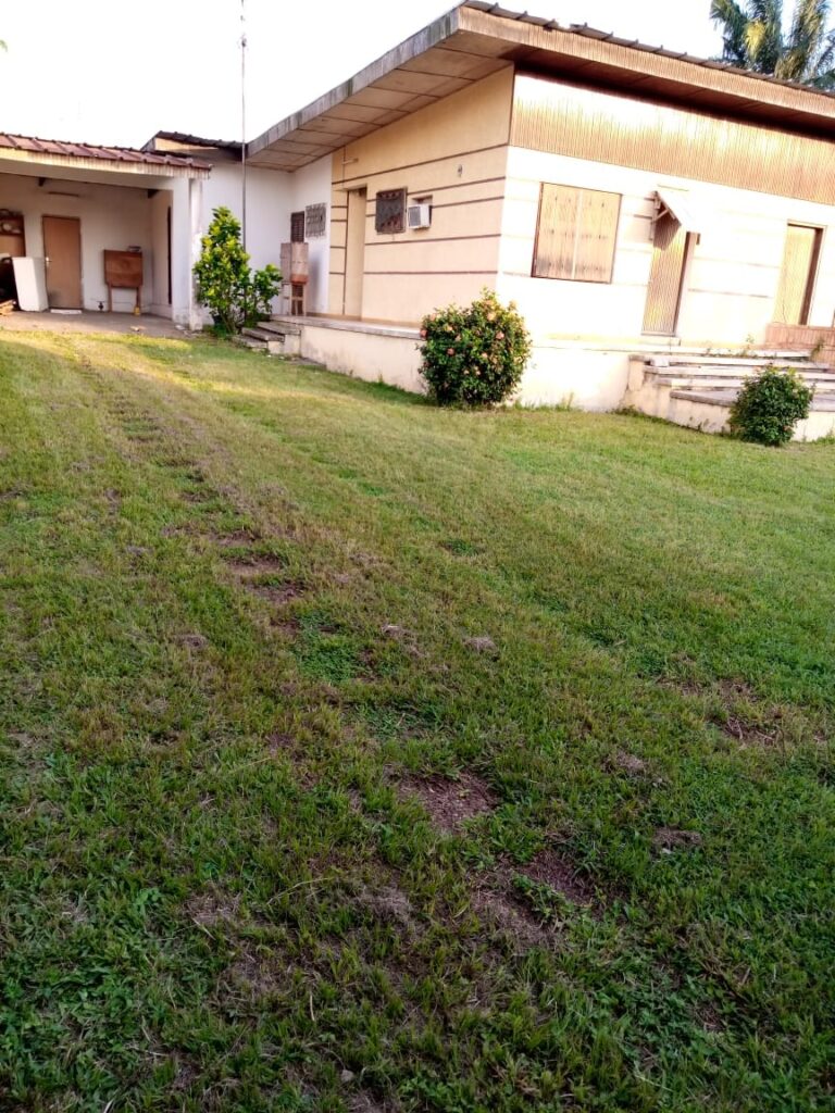 vila-sur-800m2-danga1