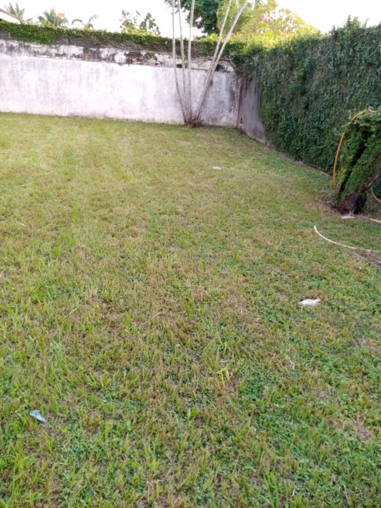 vila-sur-800m2-danga4