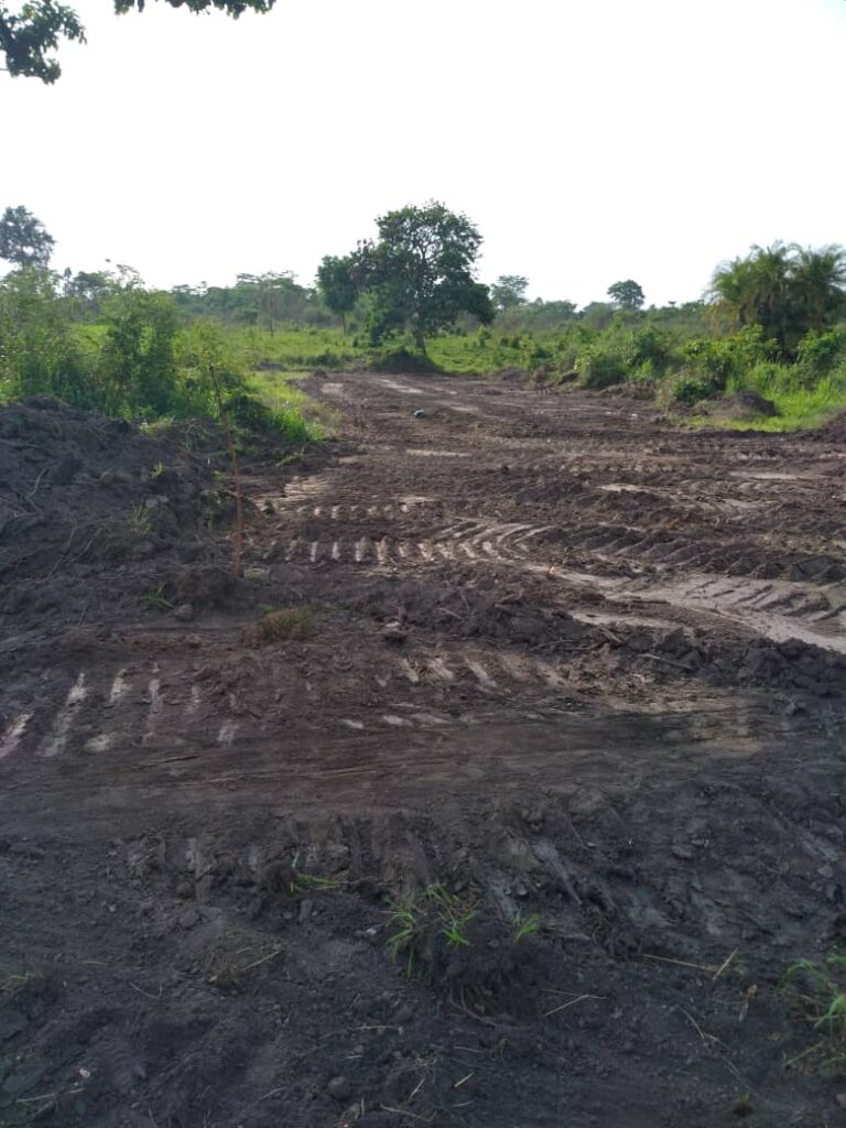 13fc4546-033a-4c3f-89e4-41413a033379