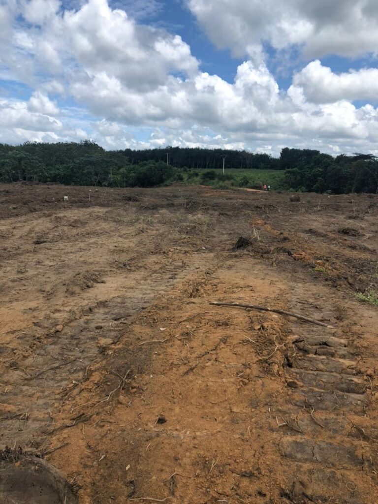 1b93acf4-901d-4a51-80c4-e836437c1f12