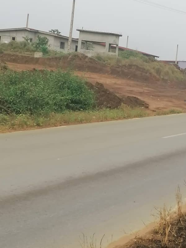 27a9c86c-e606-4d4e-94d9-b88e838c7335-4