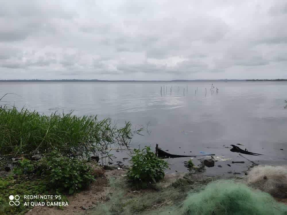 2cf3af85-f25b-47ad-82e1-dc6da2b9a57a