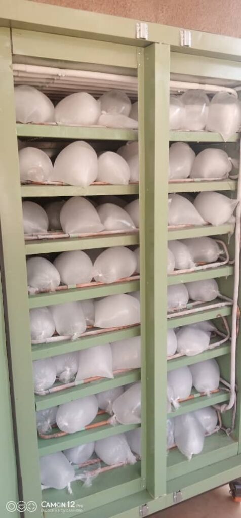 565ade5e203e4a6bb2ae531c11ace551-1