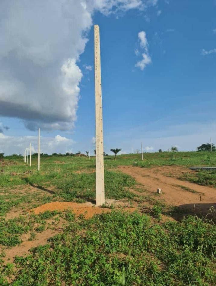 8ef35970-deac-4e5f-8755-3bf1bcff0a0c