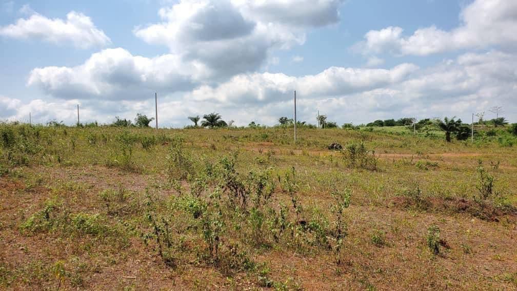 b8735287-0909-4527-a073-41df017baff5