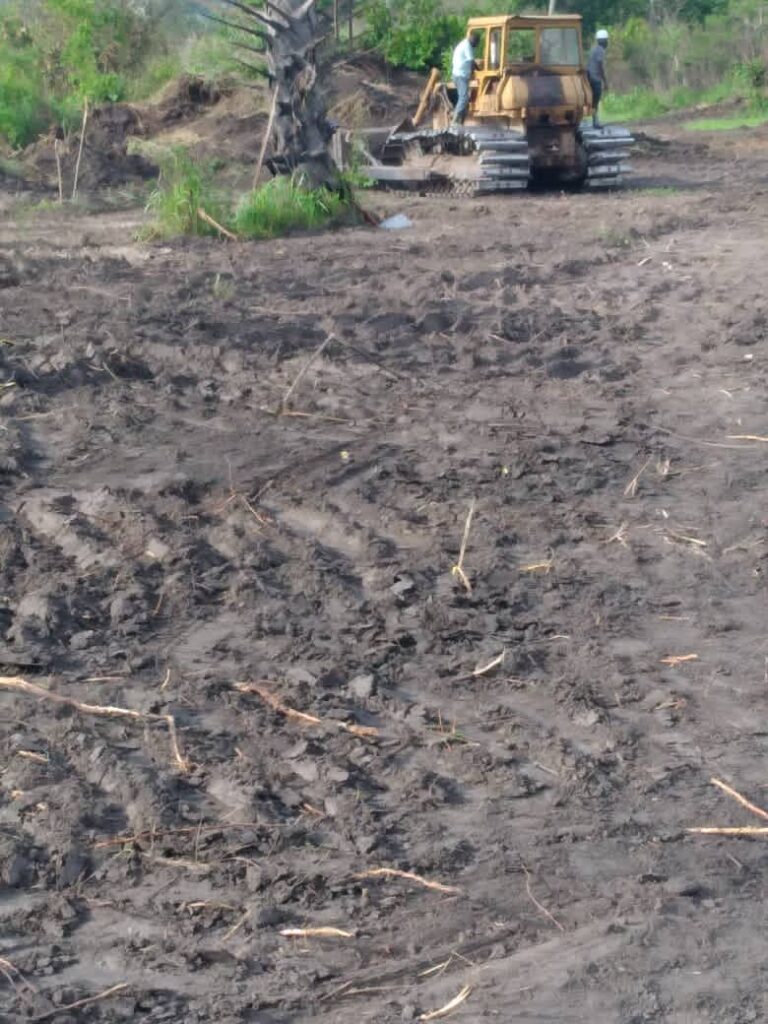 c193b795-7cc8-4ae9-98e0-7c06e89608c1