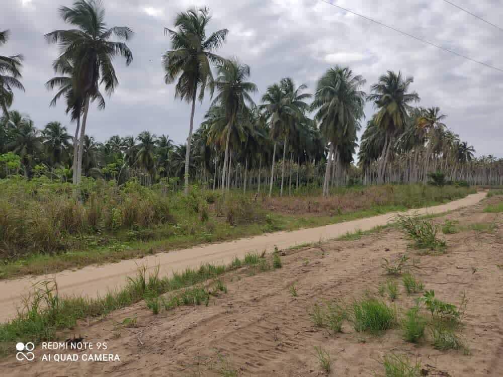 c430cf5f-5c63-4df5-8573-9be038a4d16d