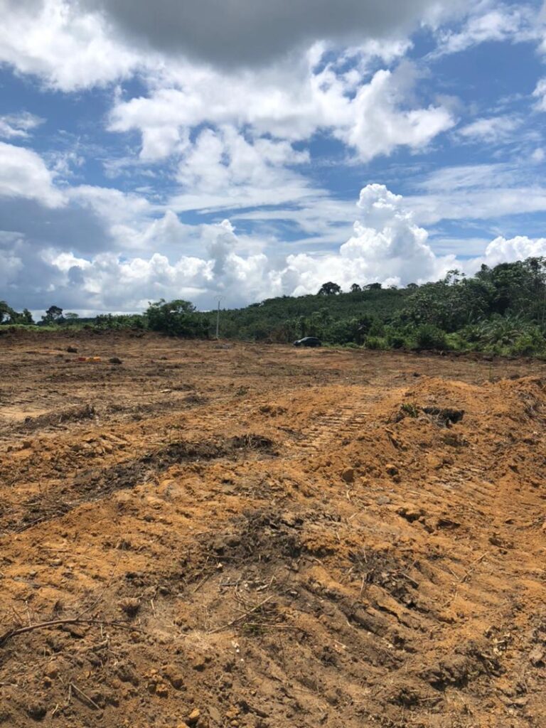 df24d0e5-6933-4fcf-8243-bdf87eaeb741