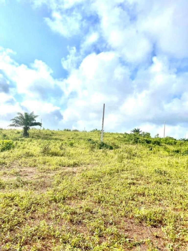 e04c3152-f7b5-43d6-ba4b-f785ad4ec7de