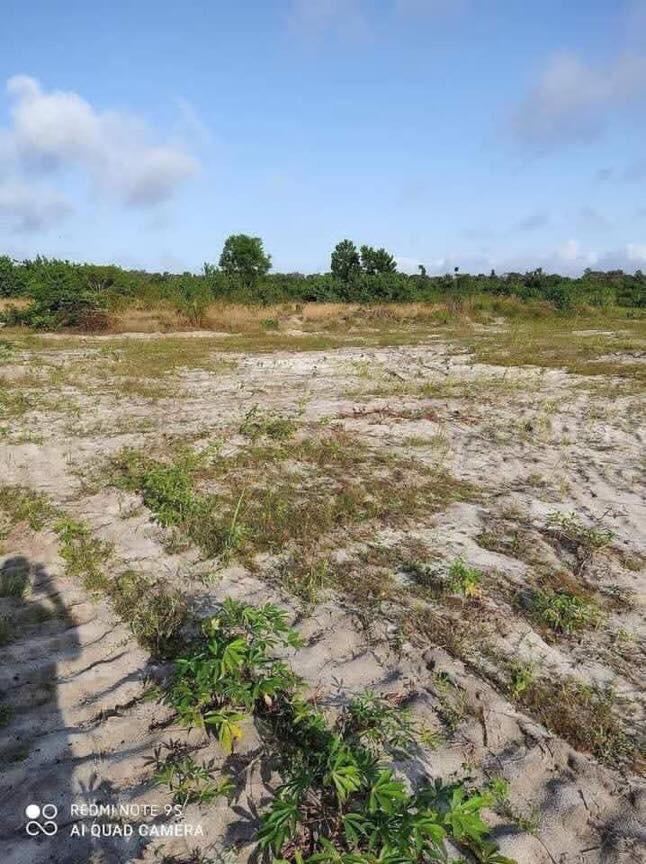 ecf0d433-33ee-453e-a97d-e9ac74ba76cb