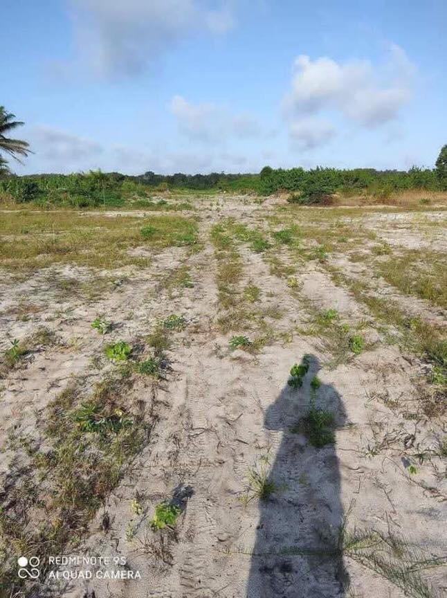 fba9a42e-3a5c-478c-9e68-cd9477cf7bf6