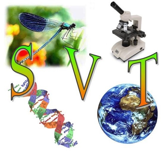 33716567-a27e-41e8-a792-3bc8e0772036