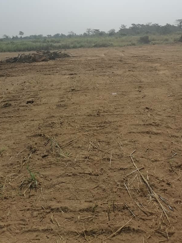 82ba01d0-8fe8-4c18-9d97-771adaf1895b-4