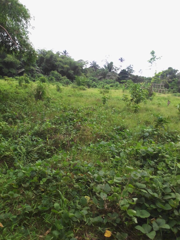 IMG_20220329_1222021