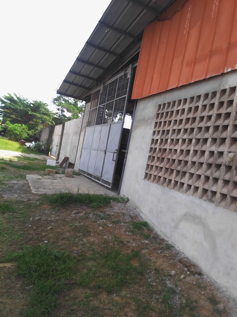 IMG_20220329_1506341