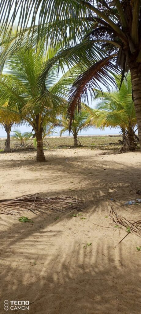 WhatsApp-Image-2022-04-13-at-11.16.54-2