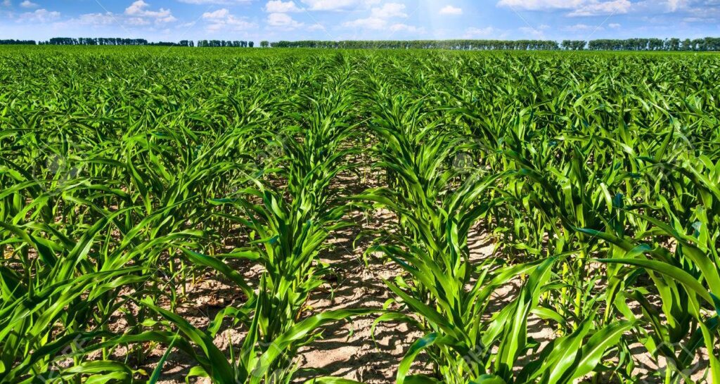 2376bcec-297d-4e18-a2a0-af2bb07d32e8