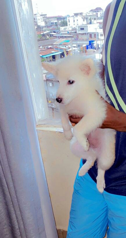 8358c9b5-0ea1-462d-80a3-9a997e7afc86-4