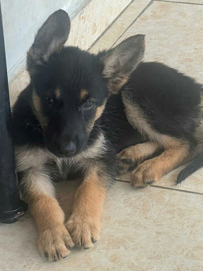 899b5baa-afc2-4bae-99ac-f1ace8707397-4