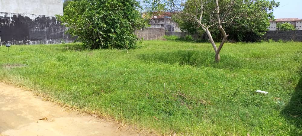 GRAND-BASSAM-TERRAIN-1201m²-KABLANTCHI-NDRAMA-ROMEL-3