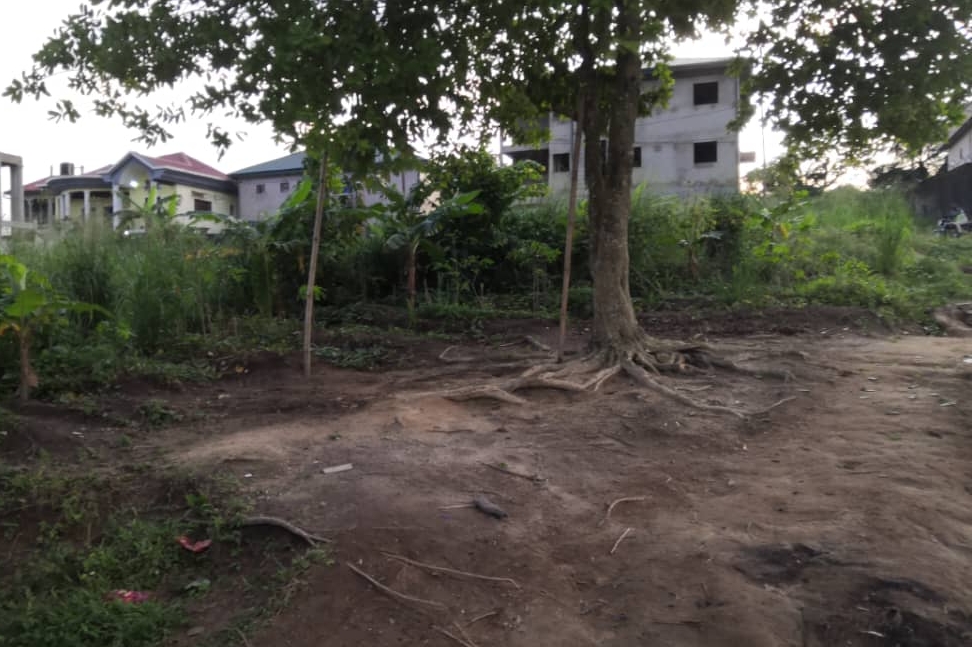 ae23a437-4a3c-4a60-9689-14c3501555a1