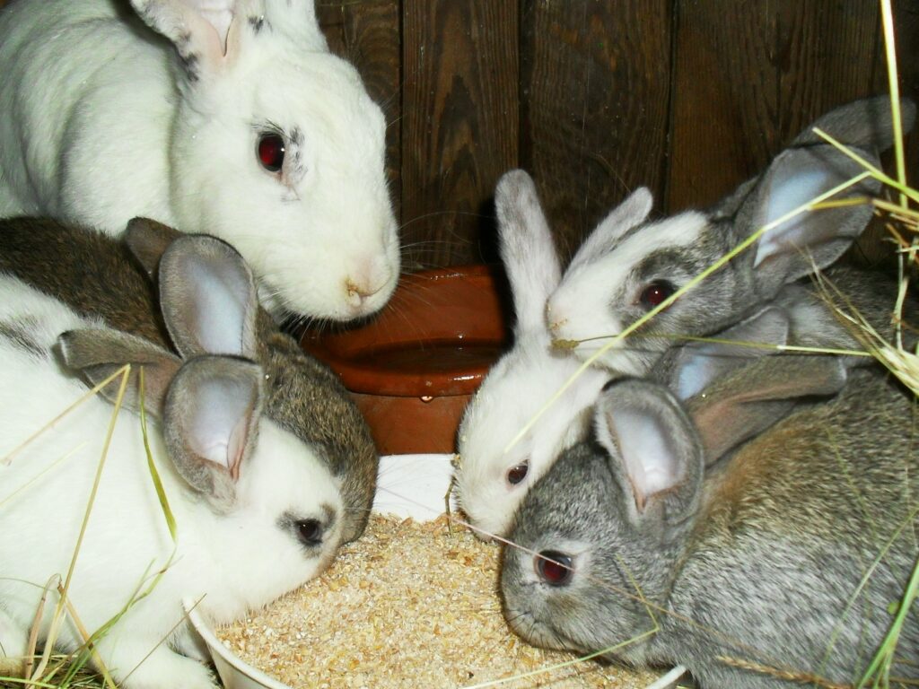 cc7a337a-18d8-4f6a-88fe-7468644e545f-8