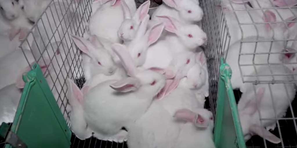 d3276194-6636-417f-be73-ca964a0300a0-5