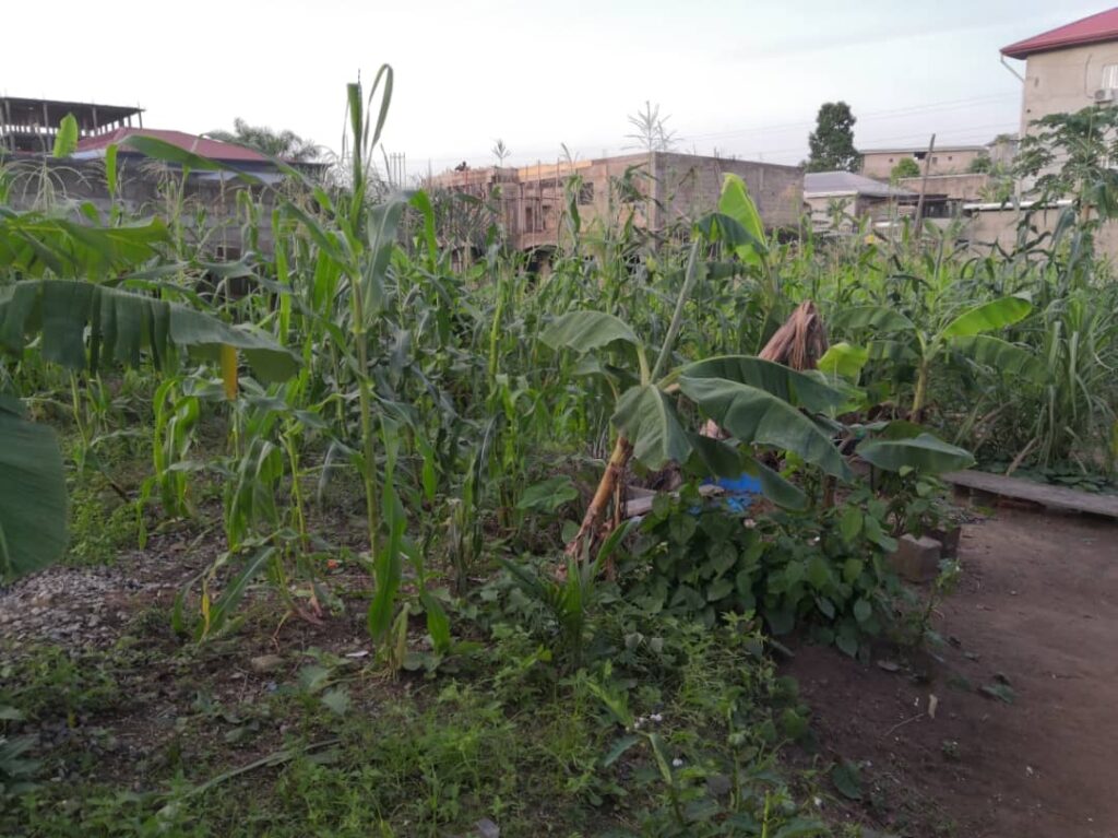 f05da408-7e3b-4dd9-84dd-a2631e31a9df