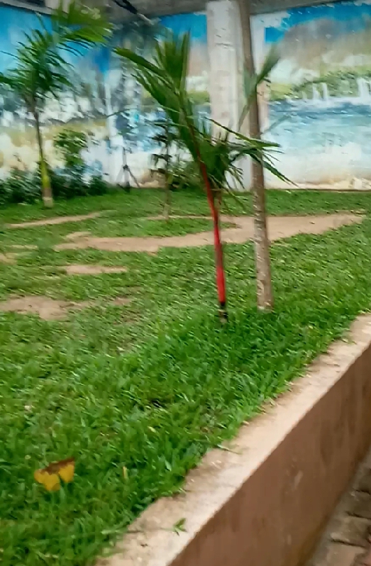 005410ef-1235-4a16-8083-210db9c52974