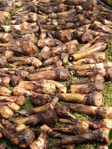 294396584_119413774148557_5113768772007414182_n