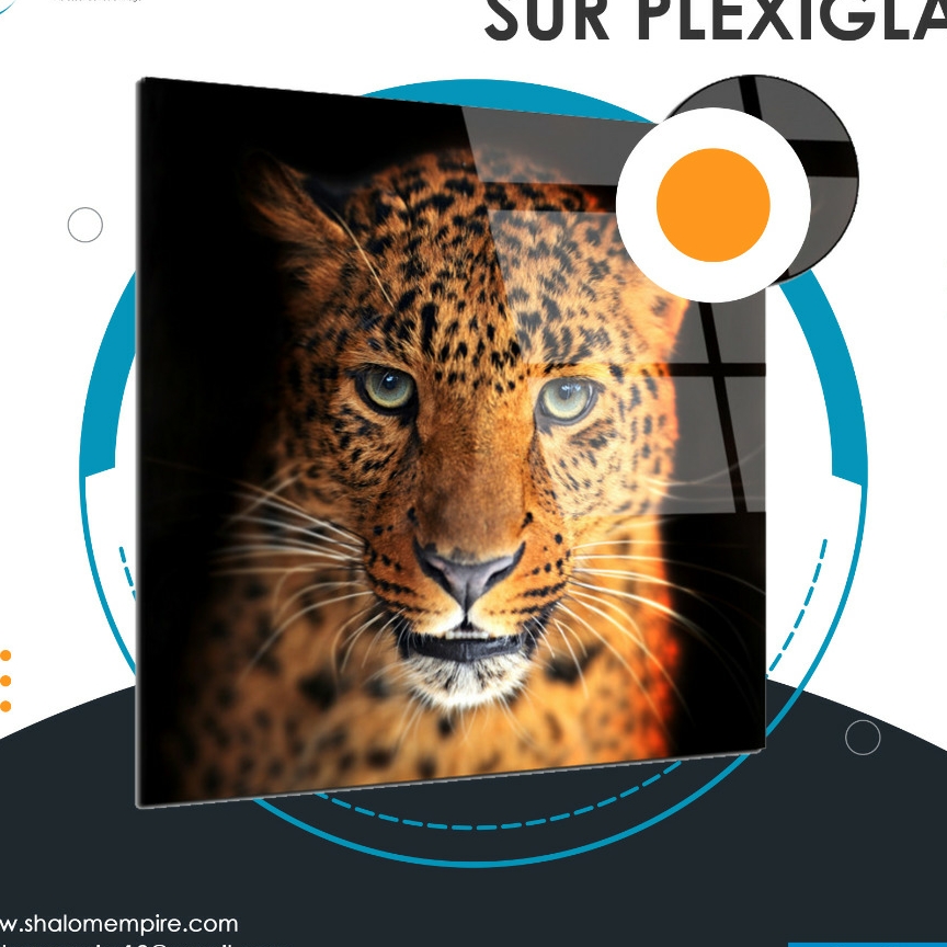 9b4013e9-4718-4b20-9892-4eb4287cd5fb