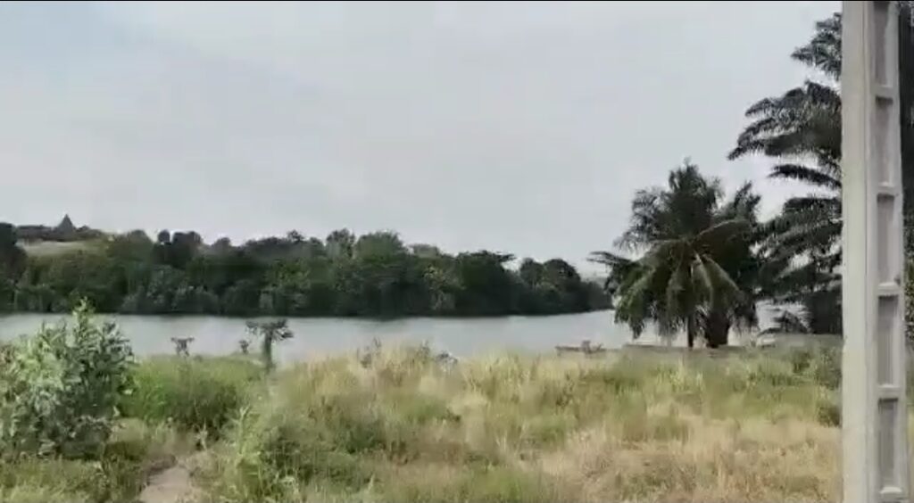 Screenshot_20220719-184411_WhatsApp