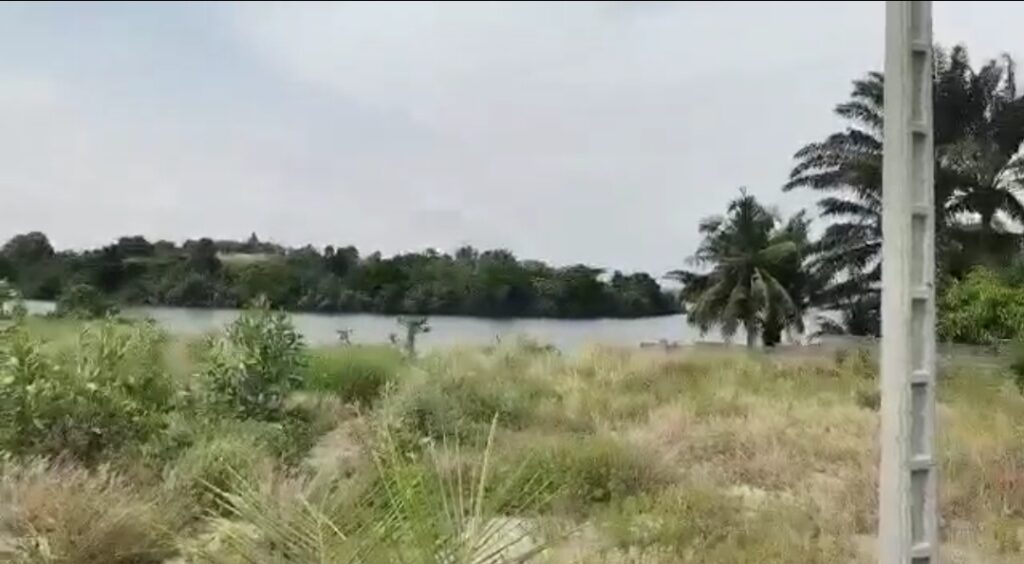 Screenshot_20220719-184427_WhatsApp