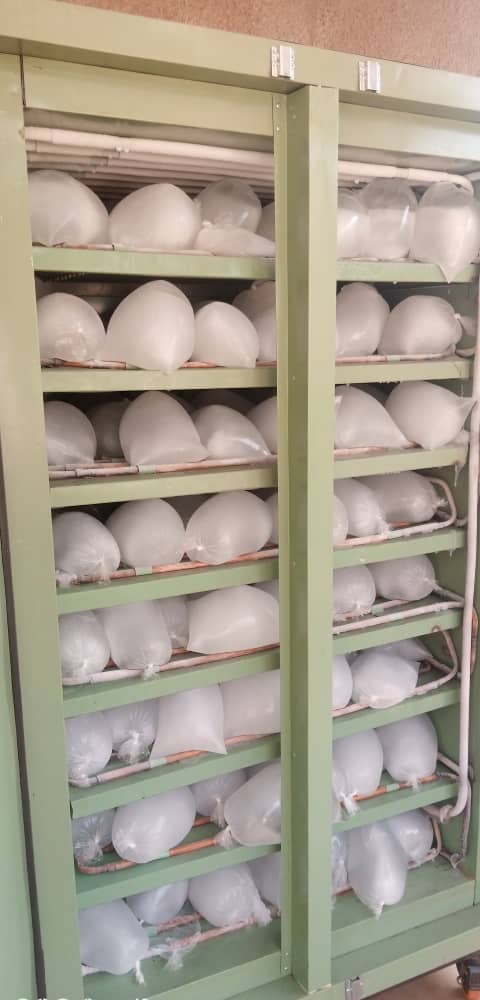 ab637eaf-d18b-4a3a-9ec5-b2ca88b4dab5