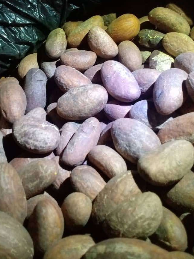 d2fa02bf-0398-4594-92da-a3d757873ab0