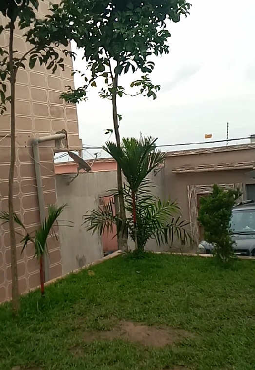 f58d0acf-8769-46af-bde0-d6c97b0b8bd8